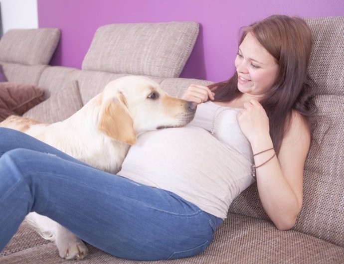 Animales y embarazo, embarazada y perro, qué hacer con la mascota 