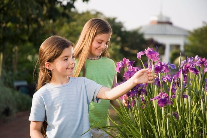 Flores, Jardín Botánico, Primavera, niñas, Jardín. Actividades en familia