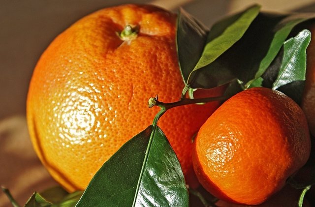 Naranja y mandarina