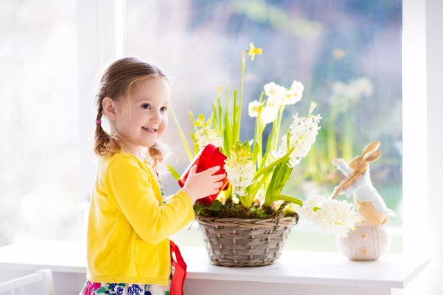 Cuidara en casa las plantas: enseña a tus hijos