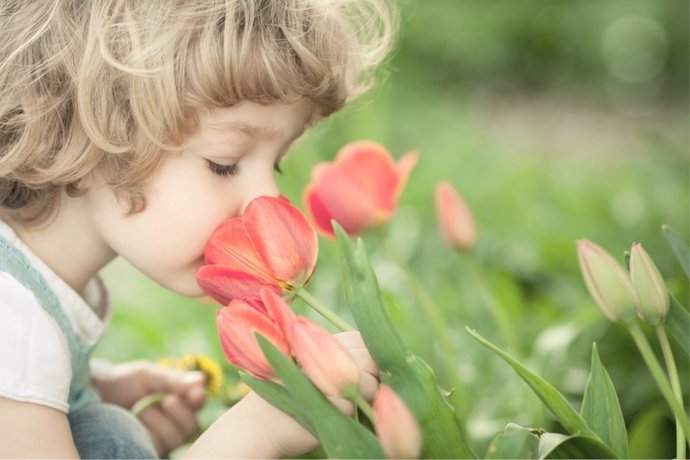 La importancia del olfato en la generación de recuerdos en la infancia