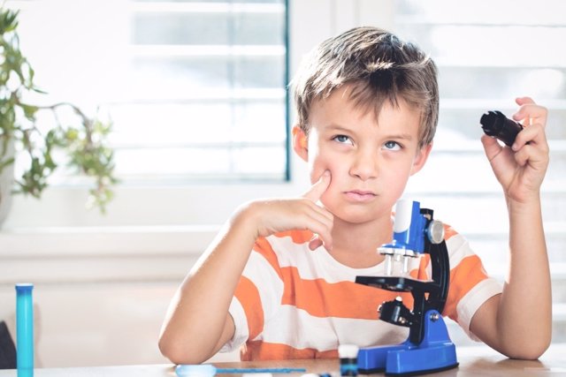 Claves para despertar la curiosidad y desarrollar la interligencia científica de los niños