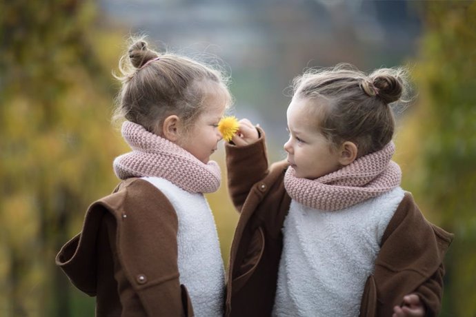 Ideas para hacer más sencilla la educación de gemelos o mellizos