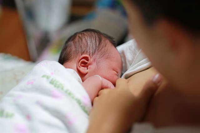 Se descubre un nuevo componente en la leche materna que ayuda al desarrollo neuronal de los recién nacidos.