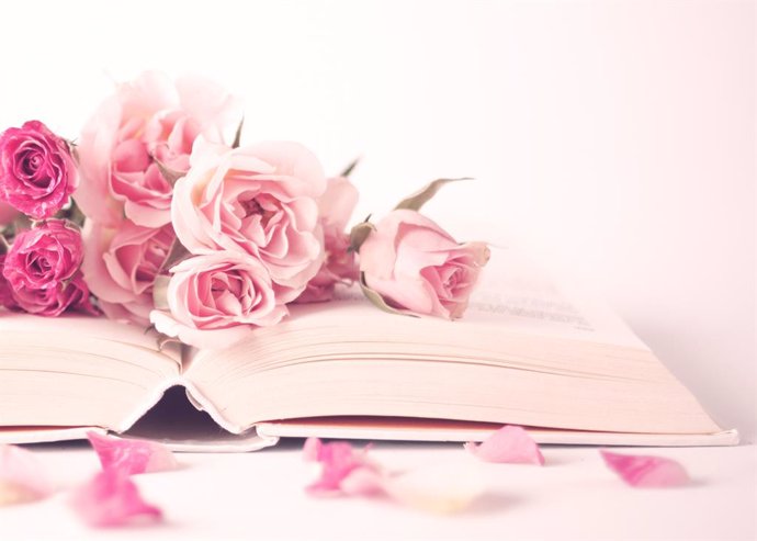 Archivo - Un libro y una rosa para celebrar el Día del Libro